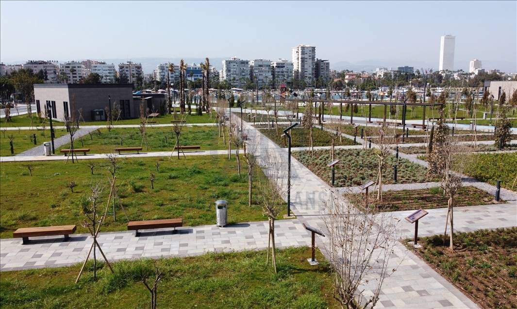 İstanbul’da nefes alacak yer kalmadı! Bu ilçede kişi başına sadece 1,5 metrekare yeşil alan düşüyor! 5